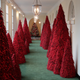 Illustration for article titled Melania Trump defends her terrifying, Lovecraftian blood treesem/em